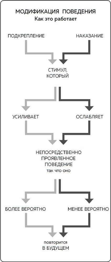 Дрессировка без наказания. Пять недель, которые сделают вашу собаку лучшей в мире - i_004.jpg