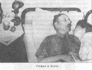 Писатель и самоубийство - picture52.jpg