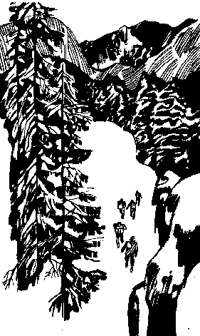 Серебряные рельсы (сборник) - pic_12.png