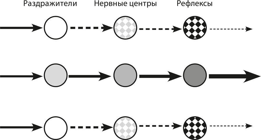 Мышление. Системное исследование - i_011.png
