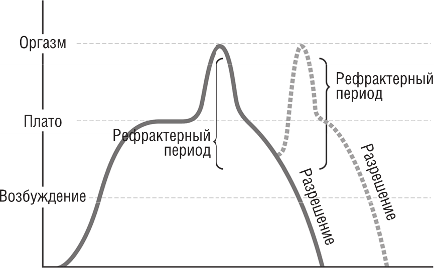 ОН. Интимный разговор про тот самый орган - i_005.png