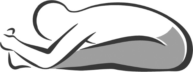 Йогатерапия. Путь к исцелению - i_001.jpg