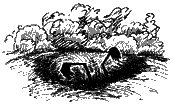 Потрясающий Мистер Лис - holm3.png