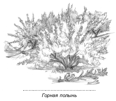 Магия домашних растений. Волшебство у вас в саду и на балконе - i_013.png