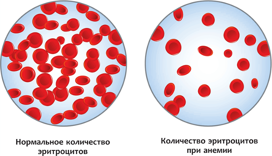 Телософия: как мозг толкает тело - i_006.png