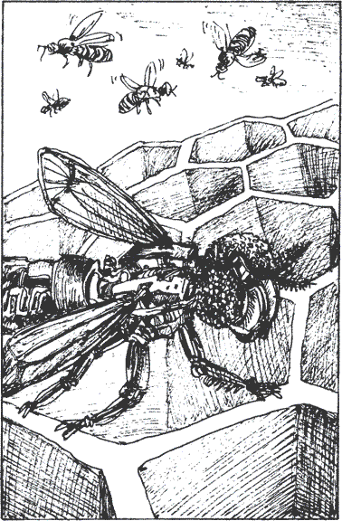 Бионика: подсказано природой - i_029.png