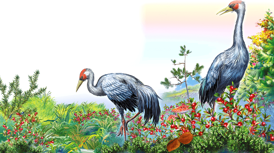 Грибы и ягоды - i_008.png