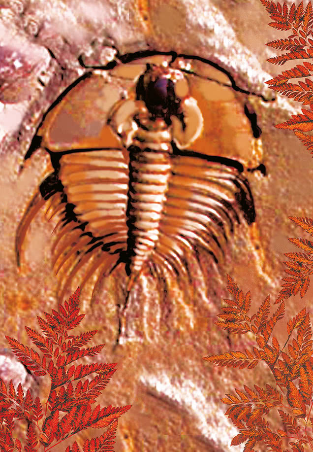 Пауки, клещи, скорпионы - i_011.jpg