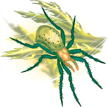 Пауки, клещи, скорпионы - i_014.png
