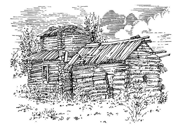 Собрание сочинений в 2 томах. Том 2. Золотой теленок - i_035.png