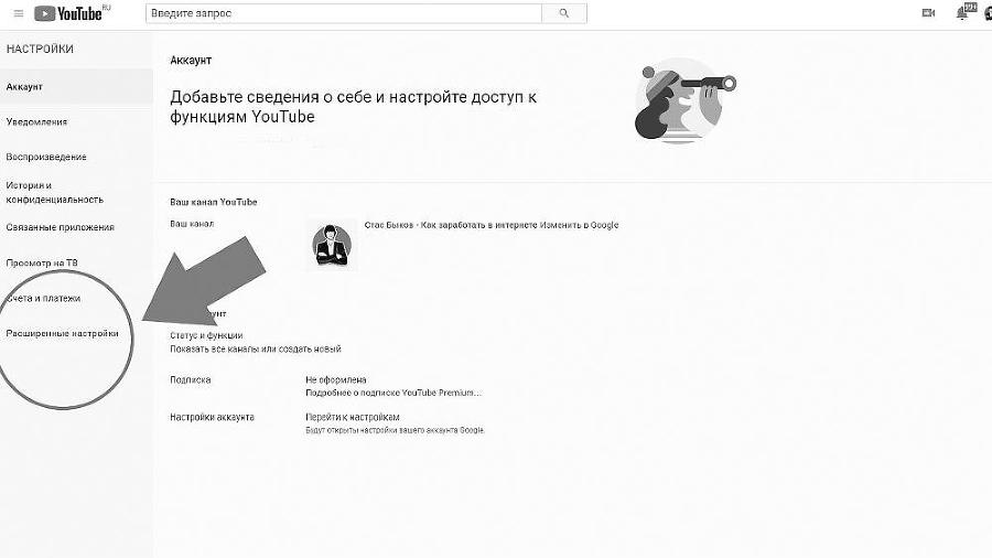 Раскрутка на YouTube. С нуля до первых денег, просмотров и подписчиков - i_014.jpg