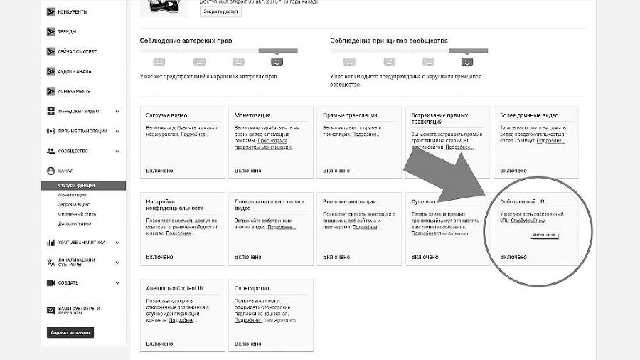 Раскрутка на YouTube. С нуля до первых денег, просмотров и подписчиков - i_016.jpg