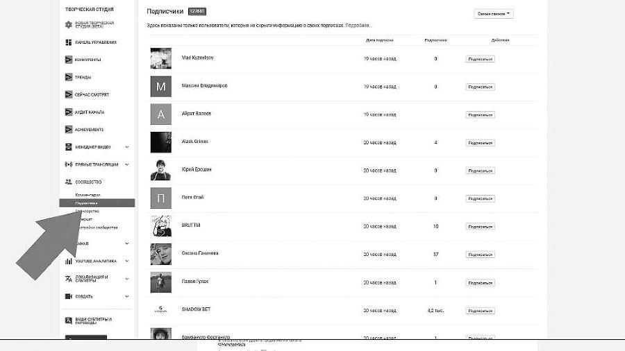 Раскрутка на YouTube. С нуля до первых денег, просмотров и подписчиков - i_032.jpg
