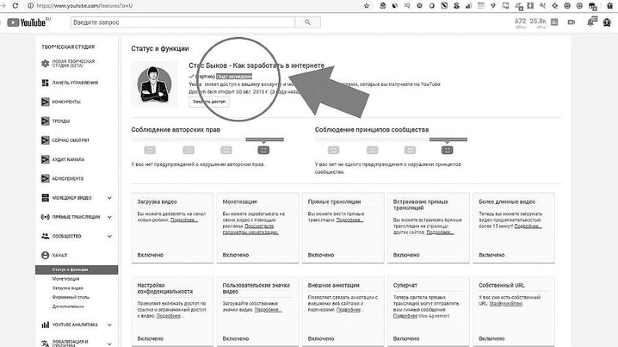 Раскрутка на YouTube. С нуля до первых денег, просмотров и подписчиков - i_039.jpg