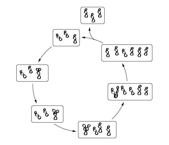 Перспективы отбора - i_020.png