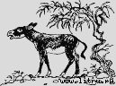 Ослокрады (с иллюстрациями) - i_009.jpg