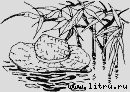 Ослокрады (с иллюстрациями) - i_012.jpg