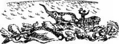 Рози – моя родня (с иллюстрациями) - pic30.jpg