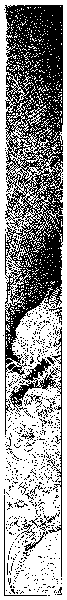 Змеиная пустошь. Сокровище змеелова - i_005.png