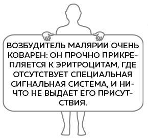 Иммунитет. Как у тебя дела? - i_005.png
