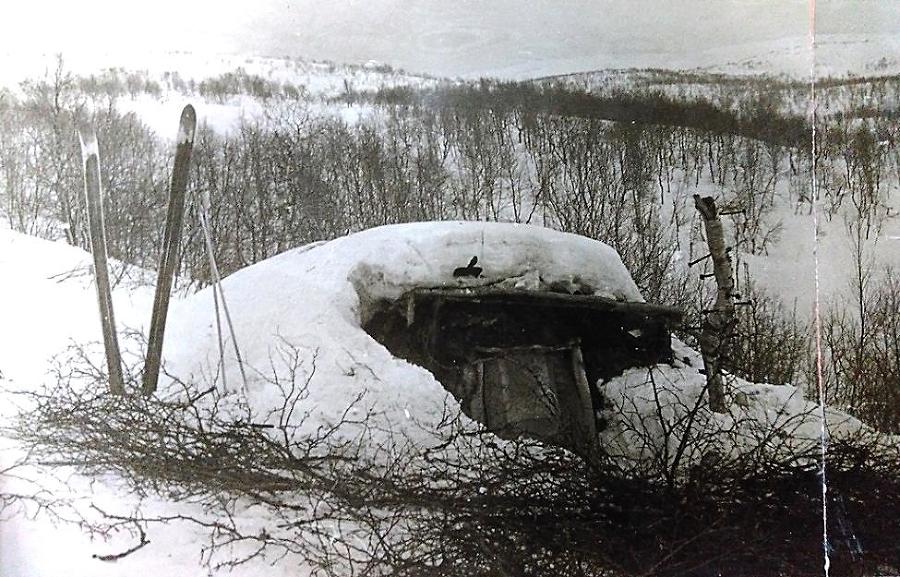 Человек и собака. Взаимная дрессировка - _16.jpg