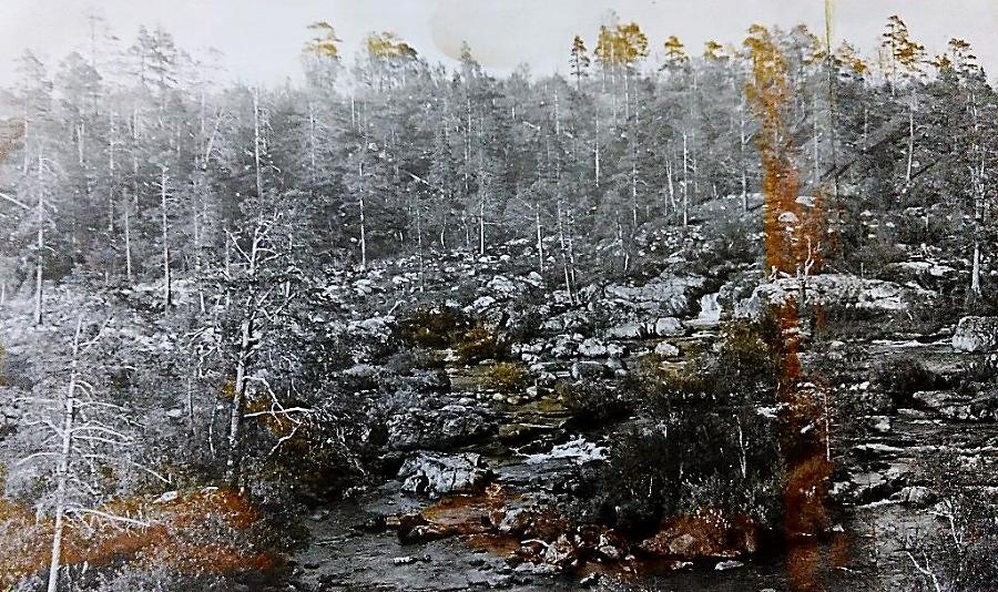 Человек и собака. Взаимная дрессировка - _7.jpg
