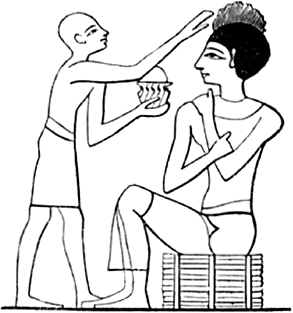 Микерия<br />(Нильская Лилия) - i_025.png