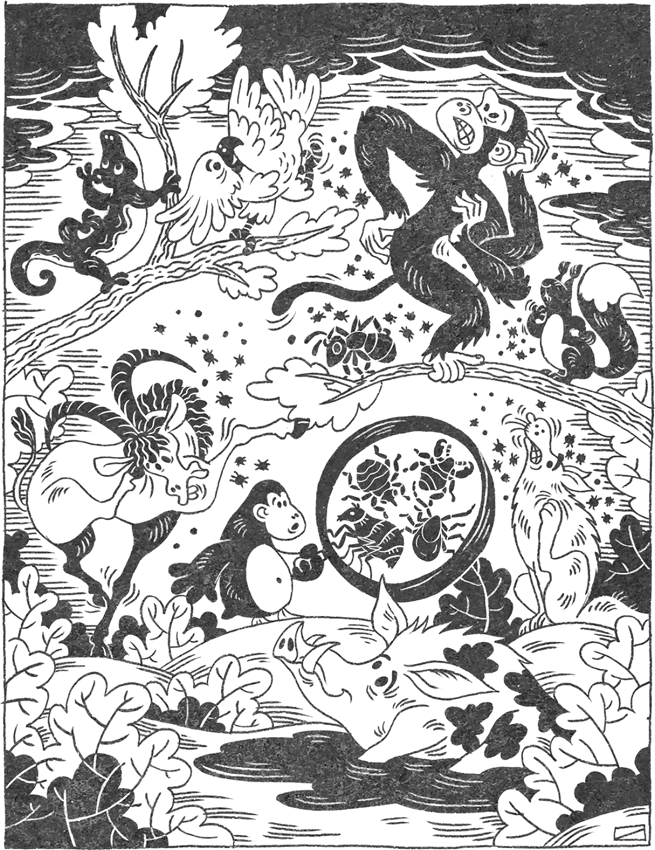 Странная обезьяна - i_014.png