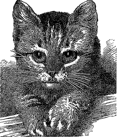 Страшный человек и кот Васька<br />(Рассказы) - i_004.png