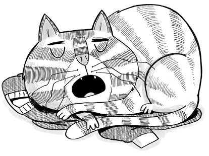 Суперкот и Картофельный вор - i_003.png