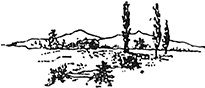 В стране контрастов - i_062.png