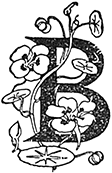 В стране контрастов - i_083.png