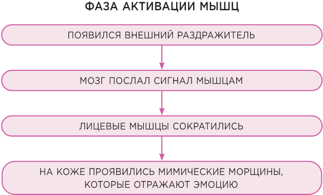 Без морщин. Система естественного омоложения лица - i_003.png