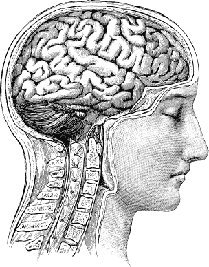 Без права на ошибку. Как на самом деле работают нейрохирурги - i_004.png