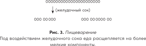 Полезная книга о лишнем и вредном. Как прекратить бороться с собой, понять свой организм и начать питаться правильно - i_003.png