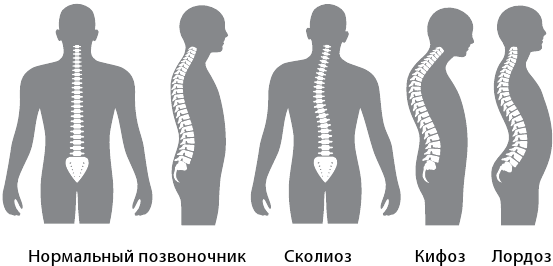Прямая спина и ровные ножки. Геометрия ранних лет - i_004.png