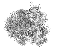 Биология для тех, кто хочет понять и простить самку богомола - i_006.png