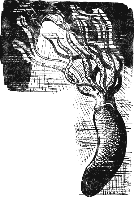 Глубокий поиск - i_002.png
