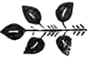 Польские народные легенды и сказки - i_132.png