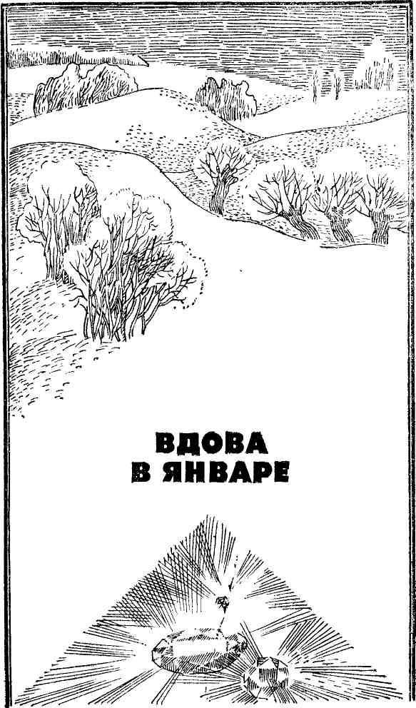Антология советского детектива-42. Компиляция. Книги 1-20 (СИ) - i_046.jpg