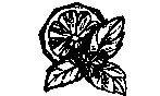 Кулинарная книга лентяйки. Юбилейное издание с новыми рецептами - i_002.jpg
