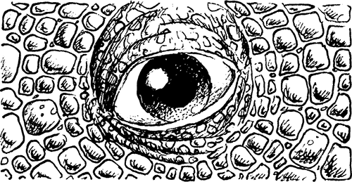 Темный Властелин Деркхольма - i_010.png