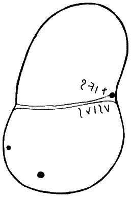 Империя – II - i052.png