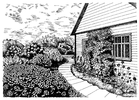 Дизайн участка - _61.png