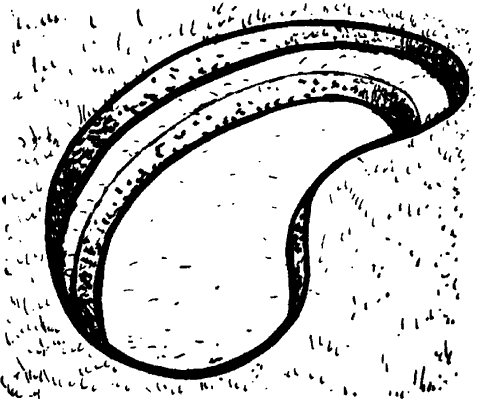 Дизайн участка - _63.png