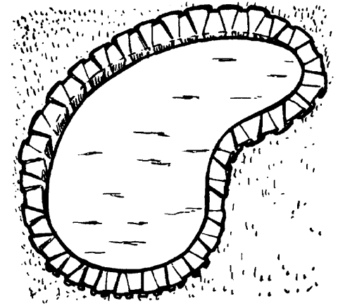 Дизайн участка - _65.png