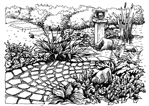 Дизайн участка - _66a.png