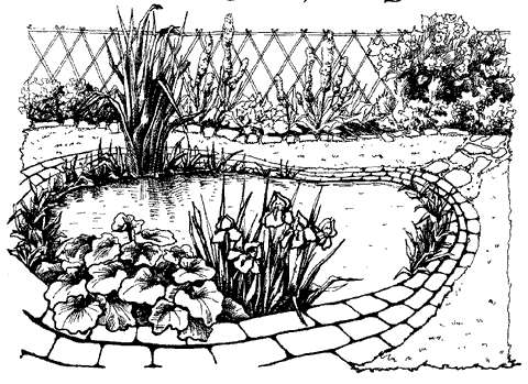 Дизайн участка - _66b.png