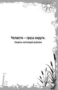 Большая книга приключений для мальчиков (сборник) - shmuc1.jpg