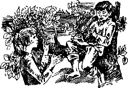 Дикая собака Динго, или Повесть о первой любви - i_025.png